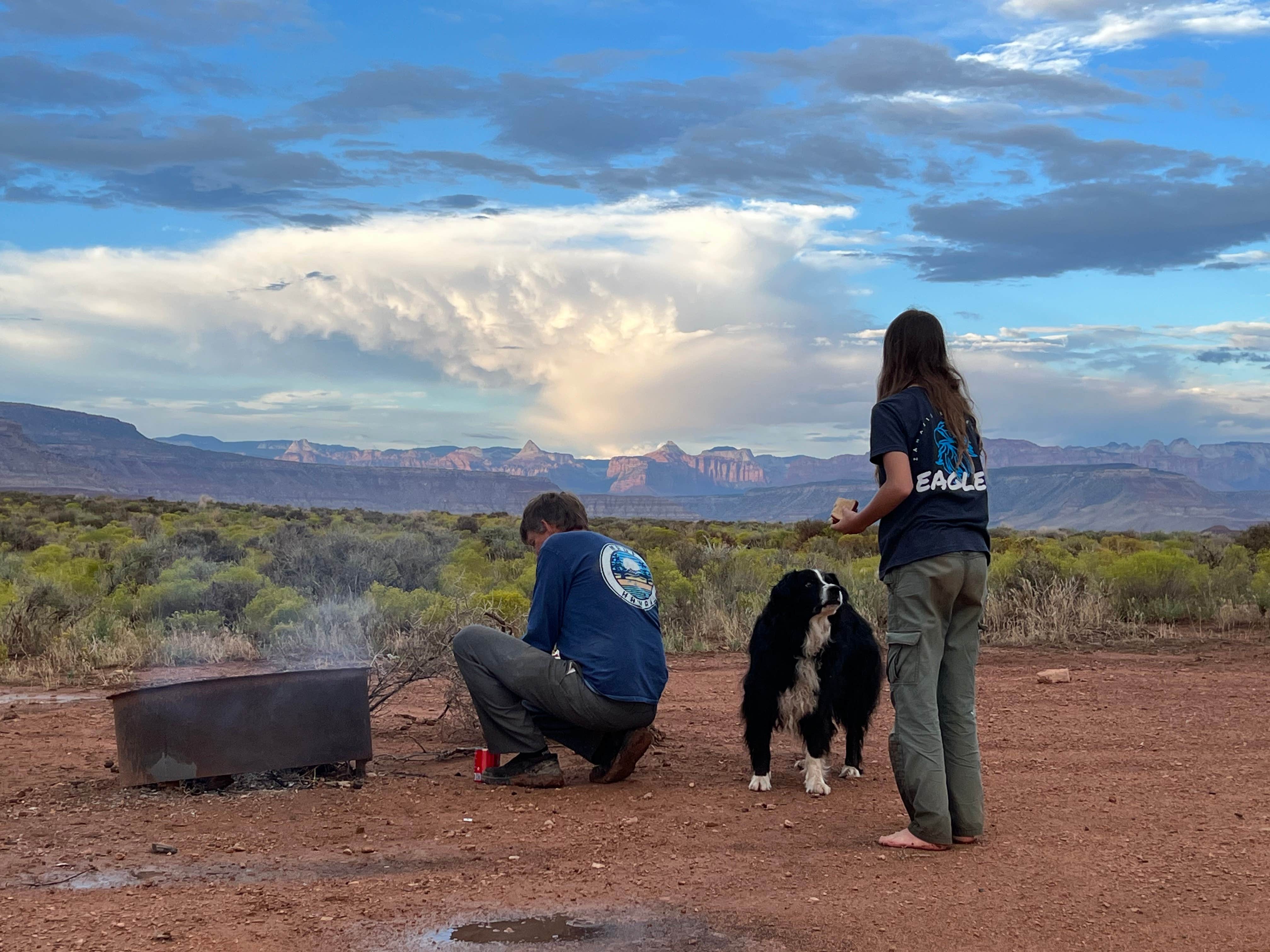 Camper submitted image from Hurricane Cliffs BLM Dispersed sites 40-48 - 3