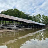 Review photo of Holliday Landing Campground & Marina by marcella , September 5, 2023