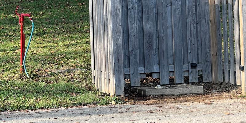 Camper submitted image from Holliday Landing Campground & Marina