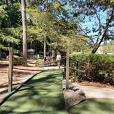 Review photo of Stone Mountain Park Campground by Tim T., September 5, 2023