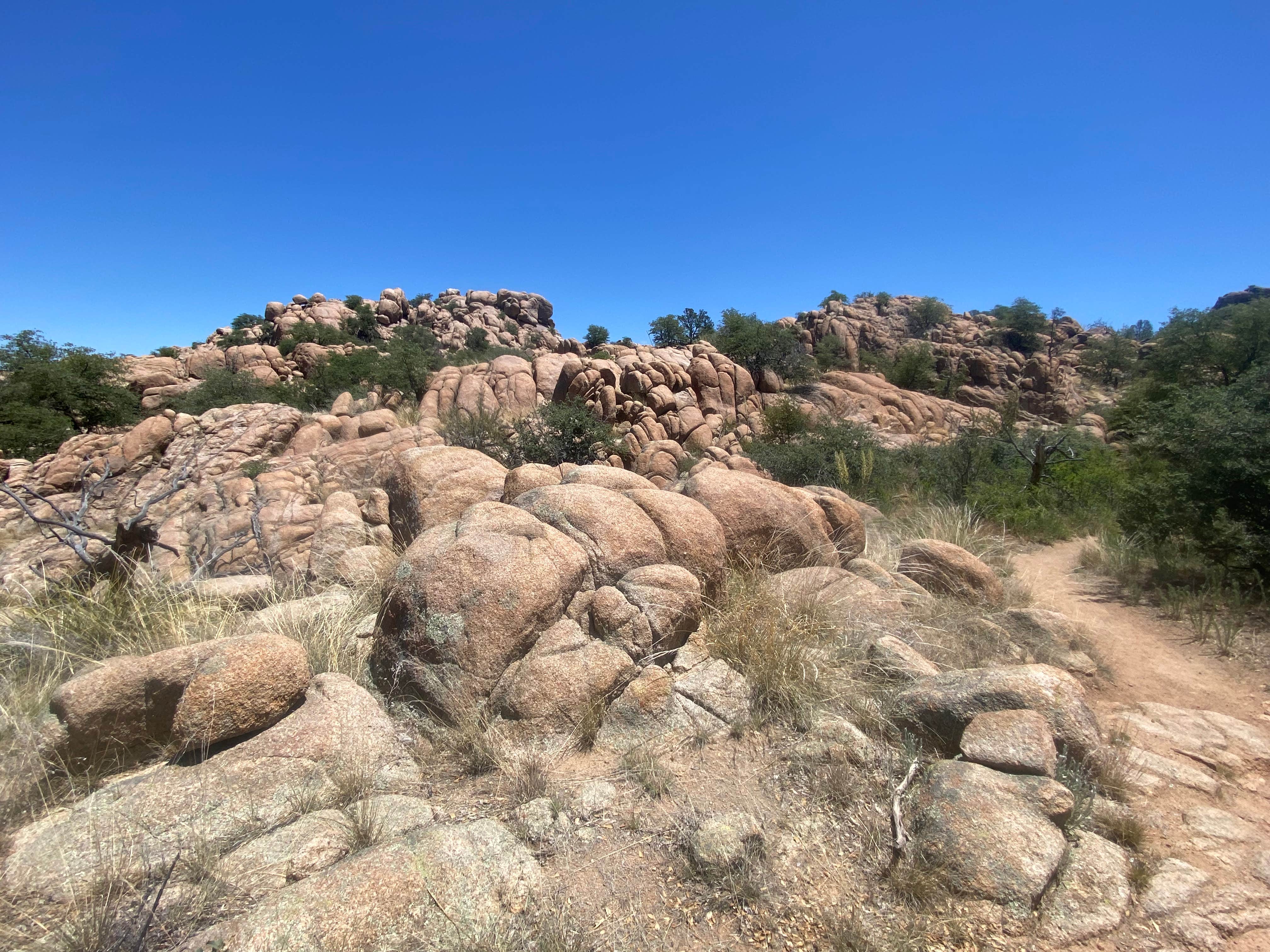 Camper-submitted photo at Senator Hwy Dispersed Camp Site near Mayer, AZ