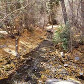 Review photo of Columbine Campground (NM) by Brittany S., October 30, 2018