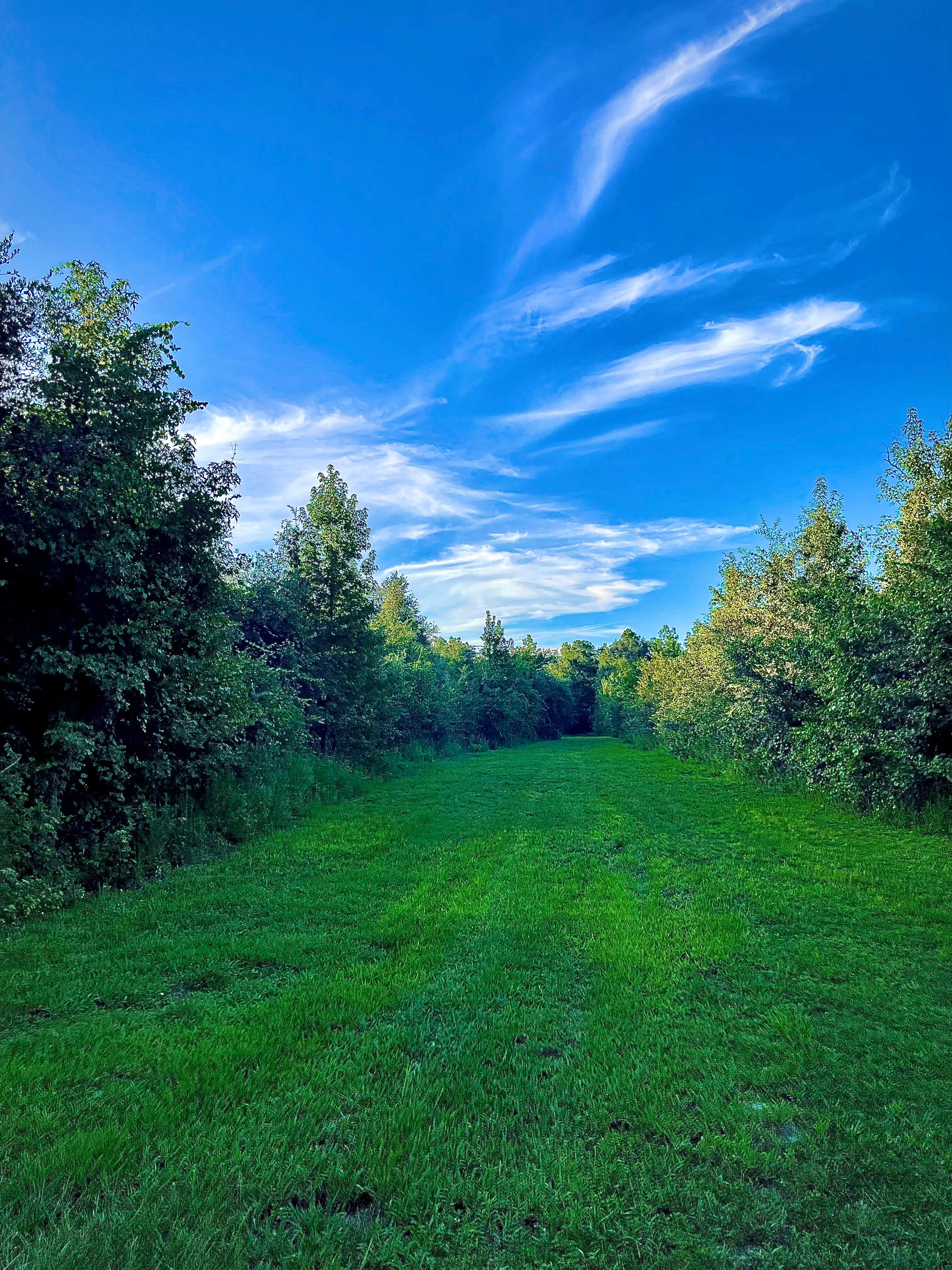 Camper-submitted photo at Hidden Cypress Farm LLC near Paradise Acres, GA