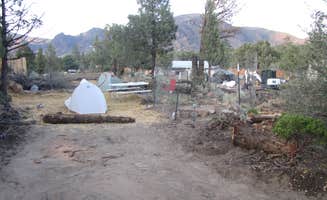 Tommie Y.'s photo at Muladhara Vector Camp Mount Shasta near Yreka, CA
