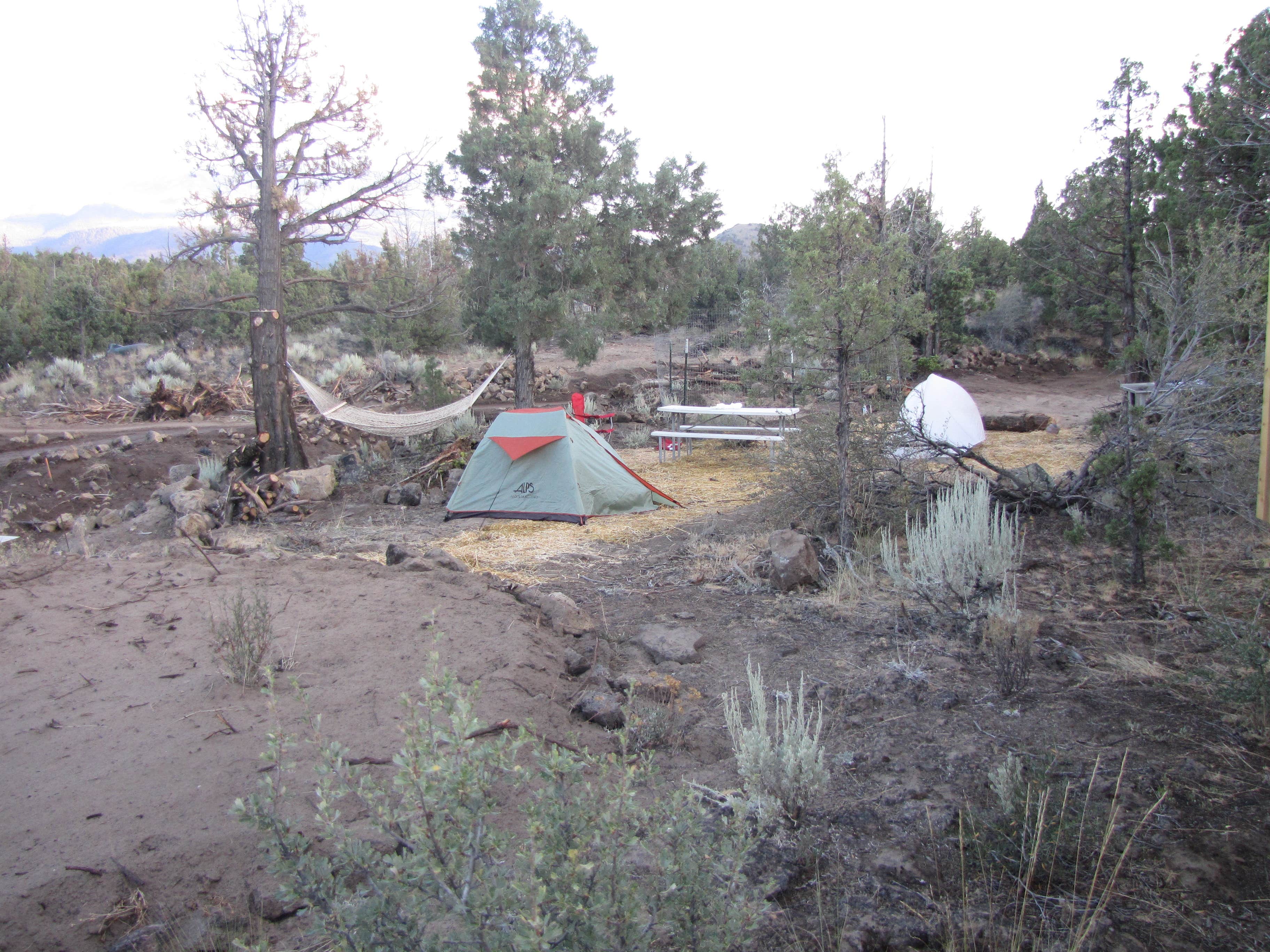 Muladhara Vector Camp Mount Shasta