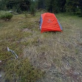 Review photo of Thielson Forest Camp by Allison C., September 5, 2023