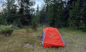 Allison C.'s photo at Thielson Forest Camp near Clearwater, OR