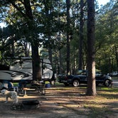 Review photo of Hawn State Park Campground by Bobbie C., September 5, 2023