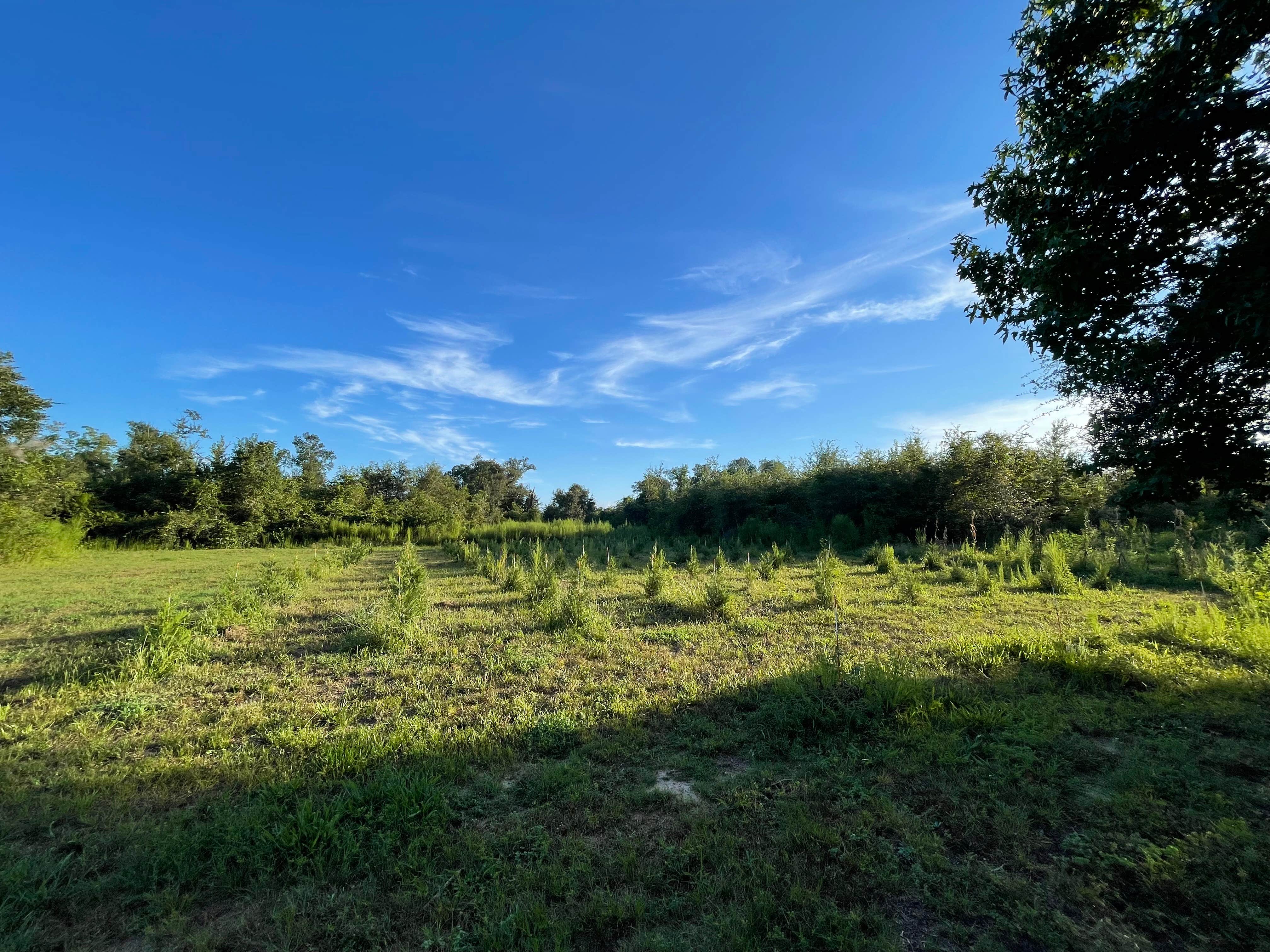 Camper-submitted photo at Hidden Cypress Farm LLC near Fountain, FL