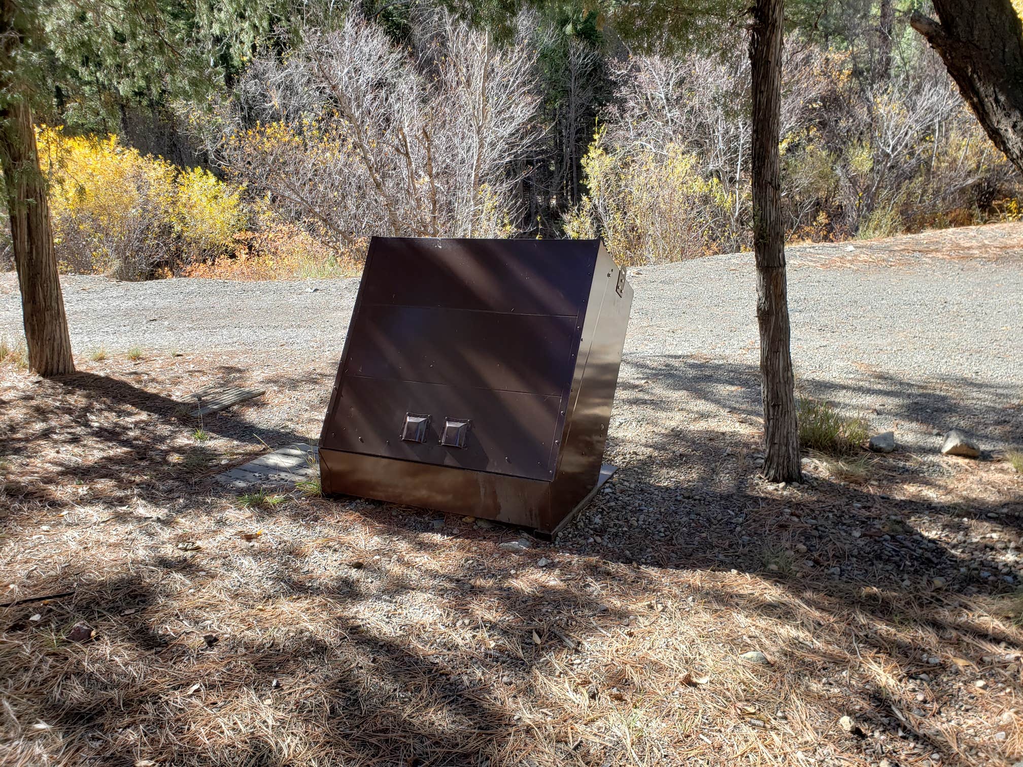 Brittany S.'s photo of camping with pets at Goat Hill Campground near Carson National Forest