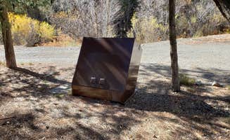 Brittany S.'s photo of camping with pets at Goat Hill Campground near Carson National Forest