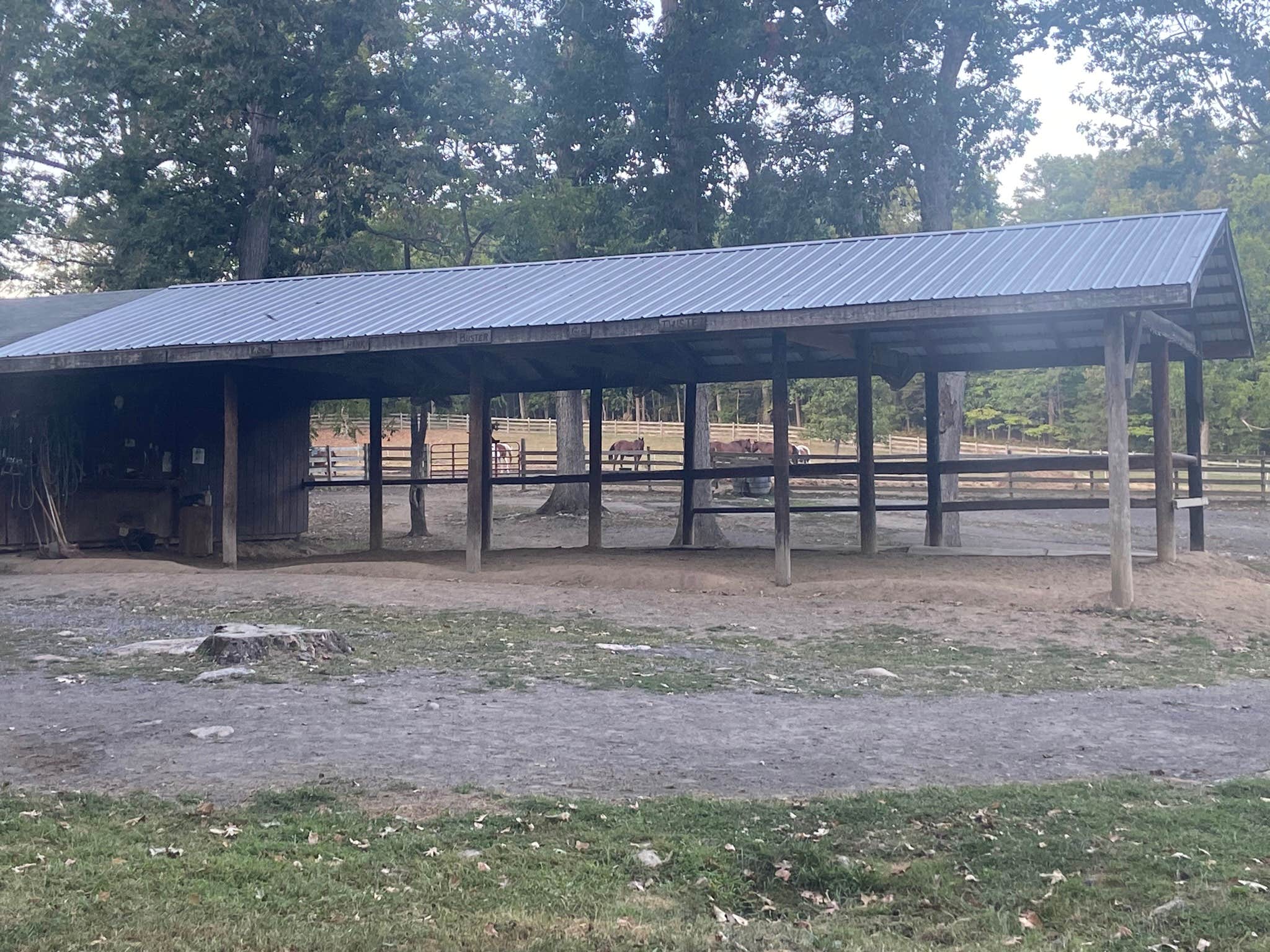 Jason G.'s photo of camping with a horse at Fort Valley Ranch near White Post, VA