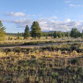 Review photo of Tom's Best Spring Road Dixie National Forest by Jenny&Tobias P., September 5, 2023