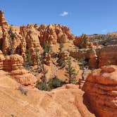 Review photo of Tom's Best Spring Road Dixie National Forest by Jenny&Tobias P., September 5, 2023