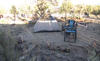 Tommie Y.'s photo at Muladhara Vector Camp Mount Shasta near Yreka, CA