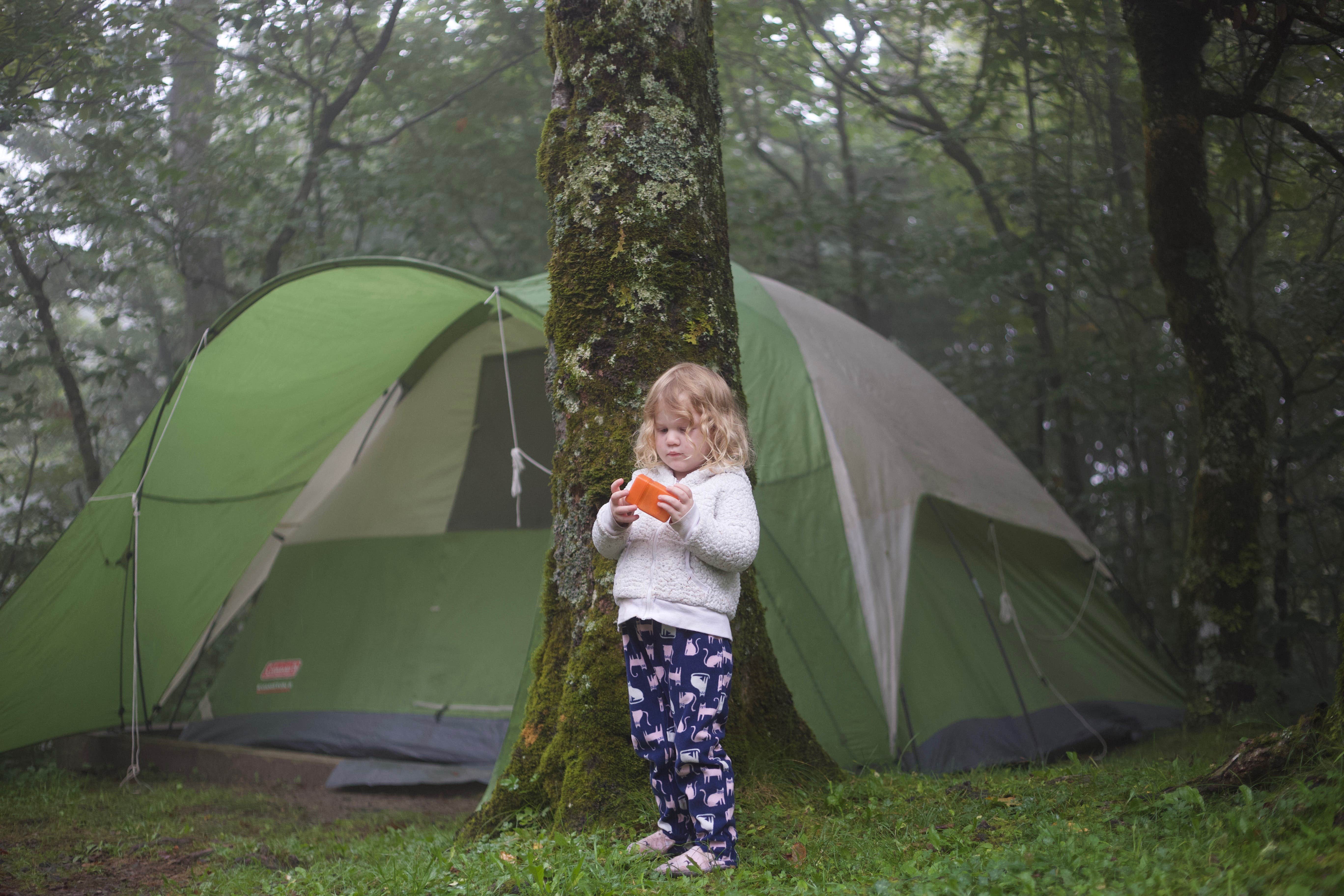 Camper submitted image from Balsam Mountain Campground — Great Smoky Mountains National Park - 4