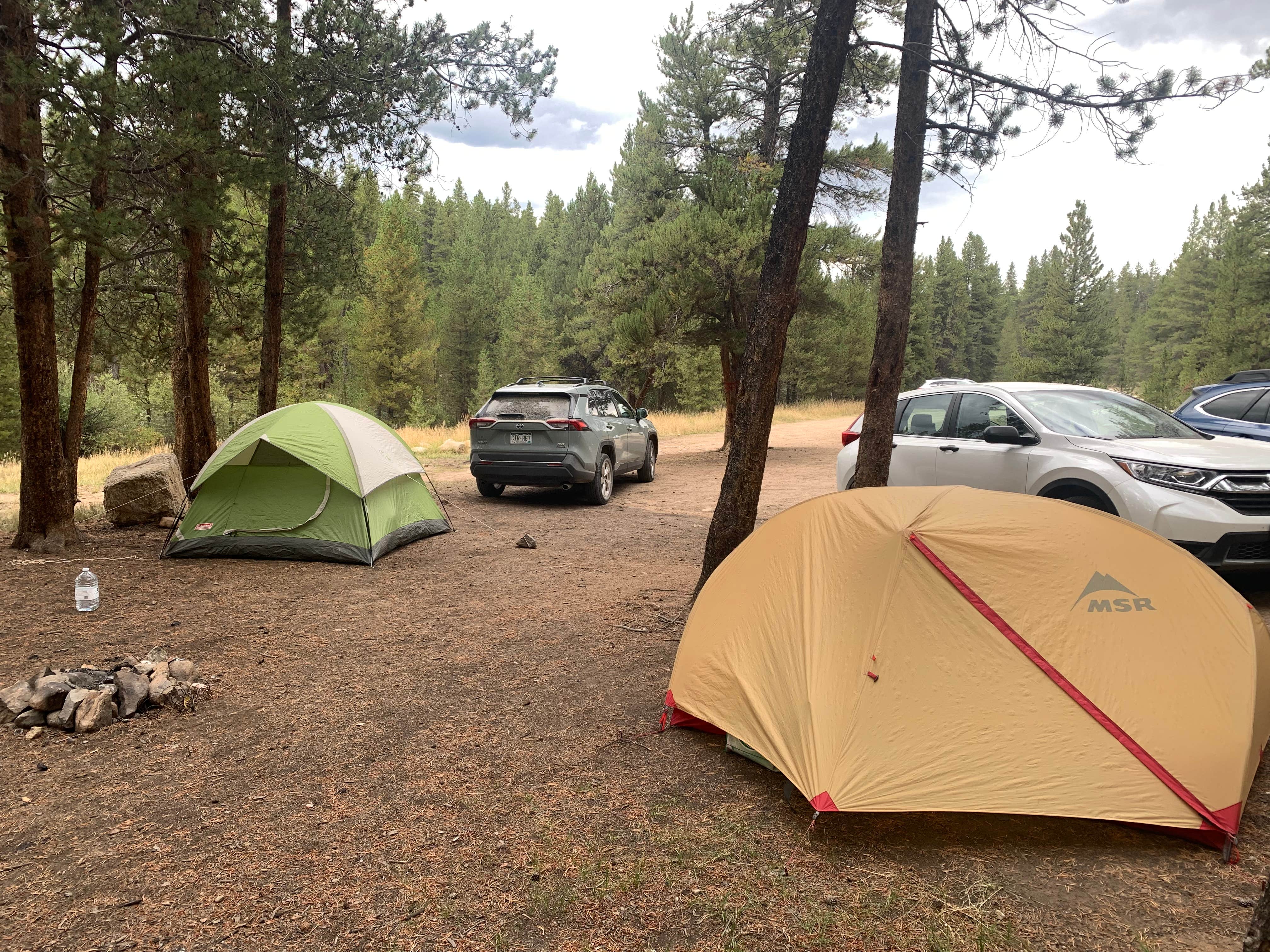 Pete K.'s photo of a dispersed camping area at Halfmoon Creek South near Leadville, CO
