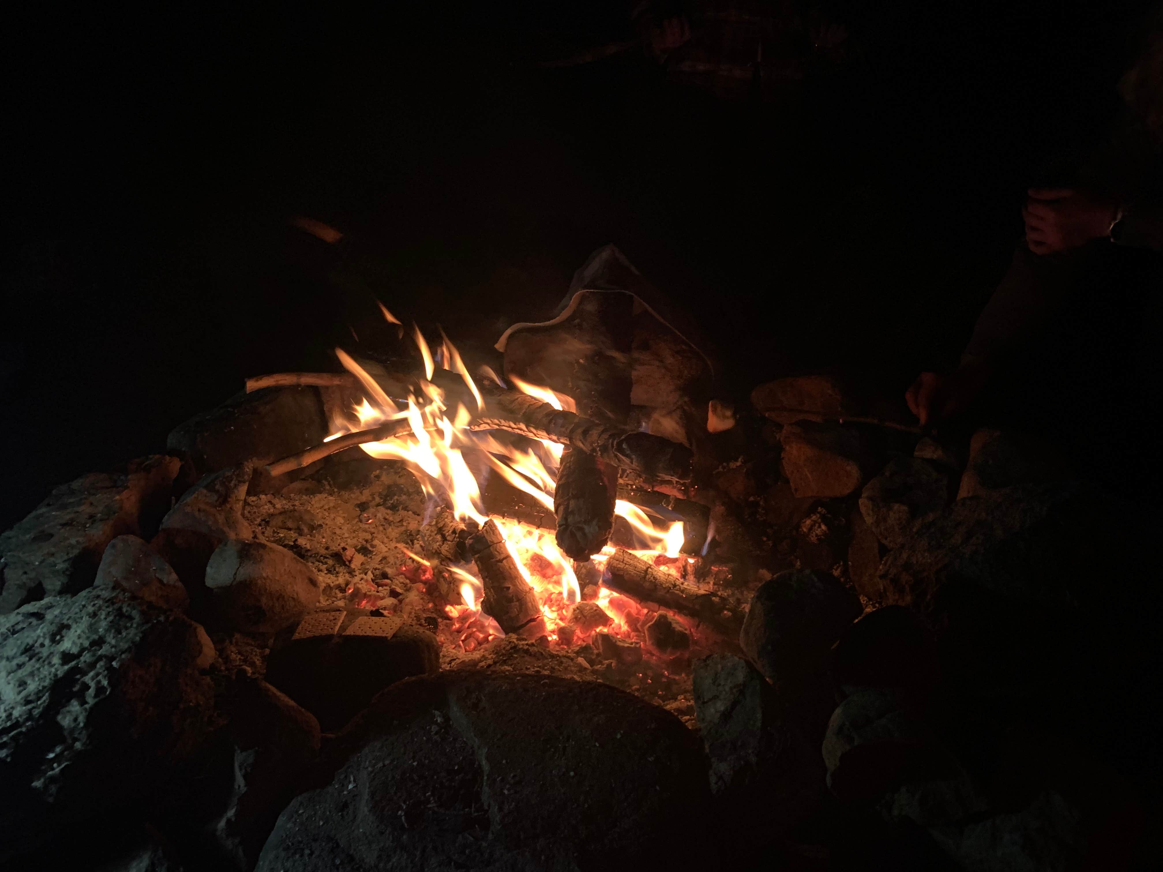 Camping near Halfmoon East — Psicc: Halfmoon Creek South, Leadville, Colorado