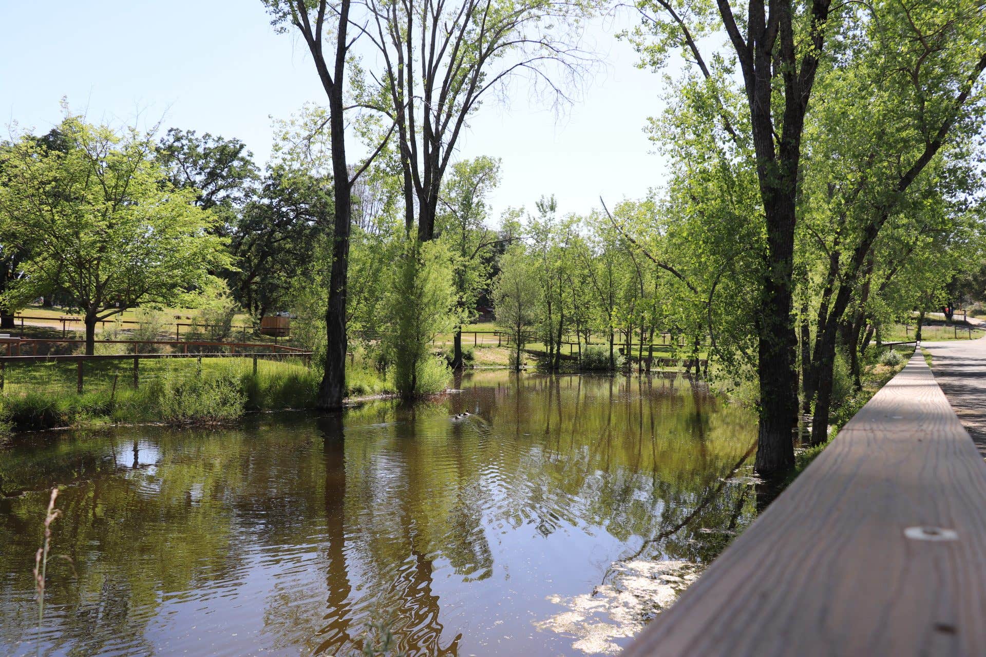 Camper-submitted photo at Placerville RV Resort & Campground near Rancho Murieta, CA