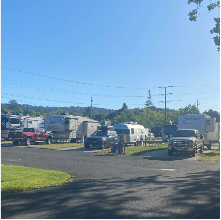 Companion S.'s photo of rv camping at Blue Chair Bowie RV Resort near Warda, TX