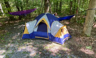 Joni P.'s photo at Black Moshannon State Park Campground near Driftwood, PA