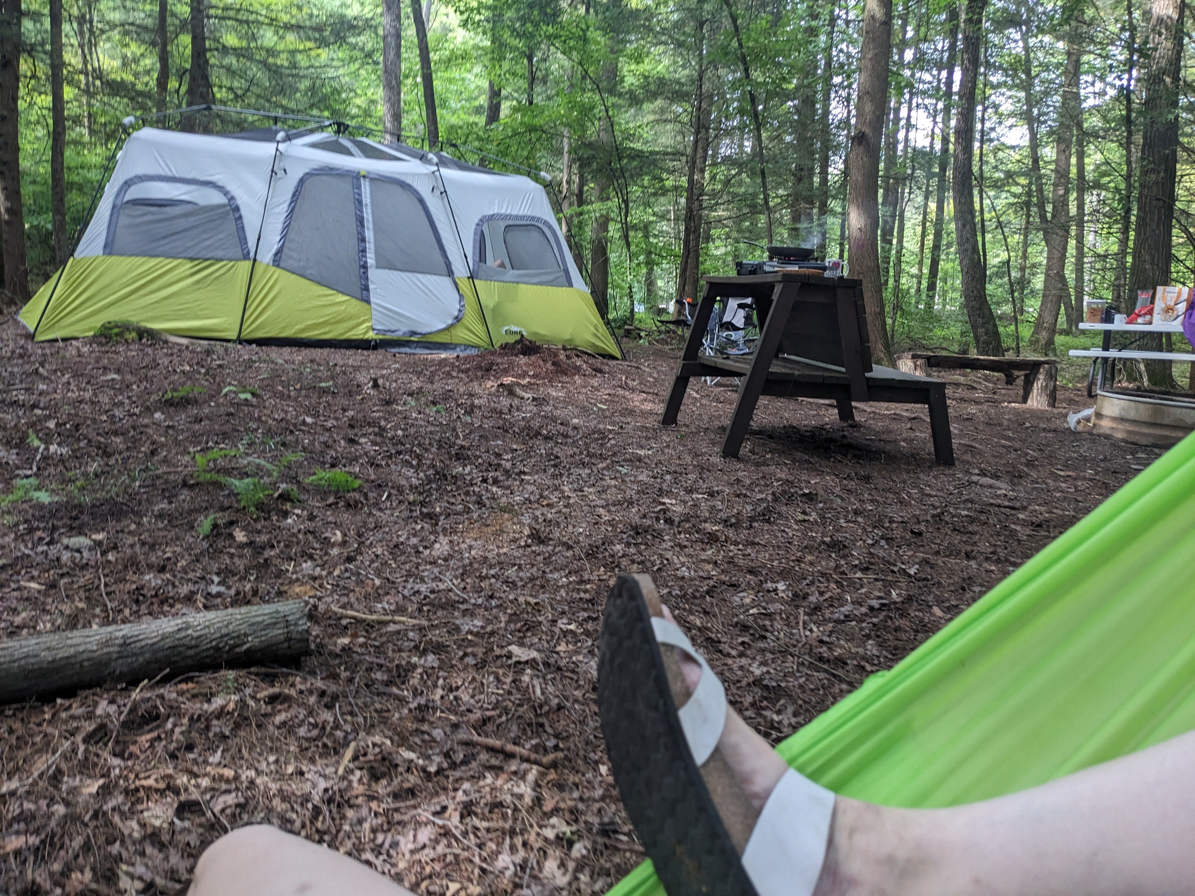 Camper submitted image from Harpy Hollow - 4