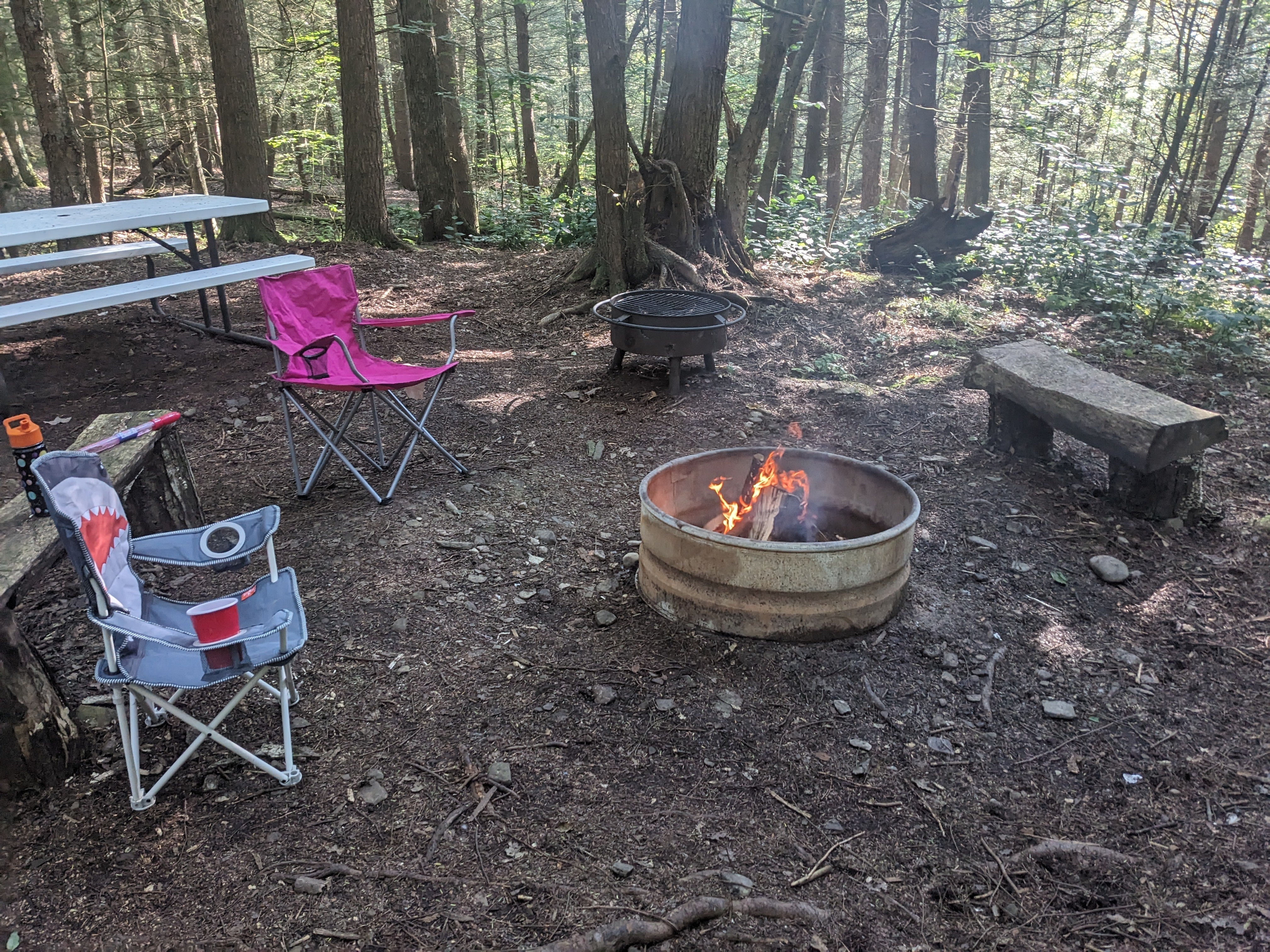 Camper submitted image from Harpy Hollow - 1