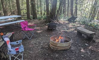 Camping near Six Circles Farm (Camp Elderberry): Harpy Hollow, Burdett, New York