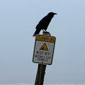 Review photo of Half Moon Bay State Beach Campground by Maria O., September 5, 2023