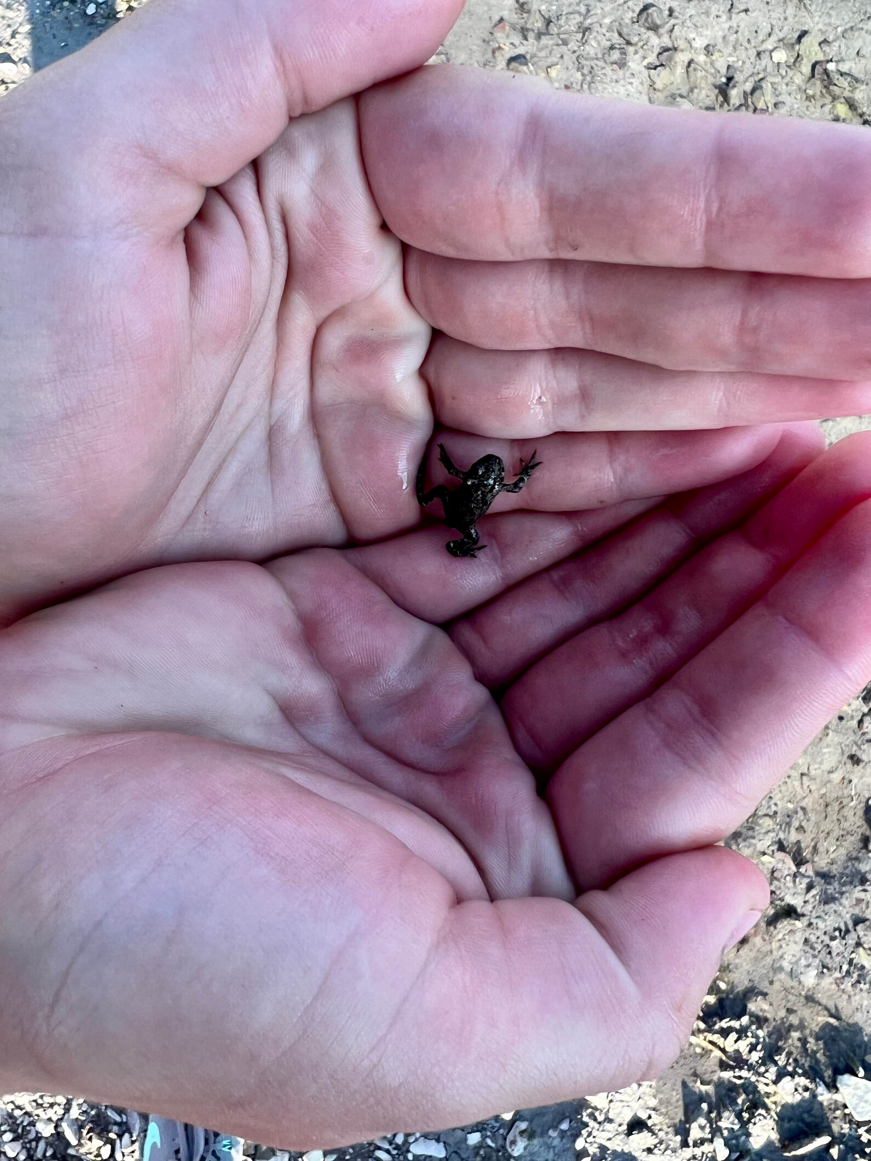 Camper-submitted photo at Copper Creek Campground near Augusta, MT