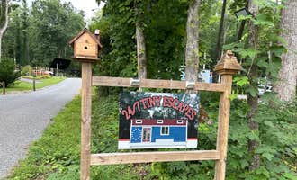 Camping near Smoky Bear Campground: 24/7 Tiny Escapes, Cosby, Tennessee