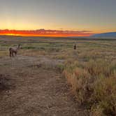 Review photo of Cloud Peak Llama and Alpaca Ranch by Thomas M., September 6, 2023