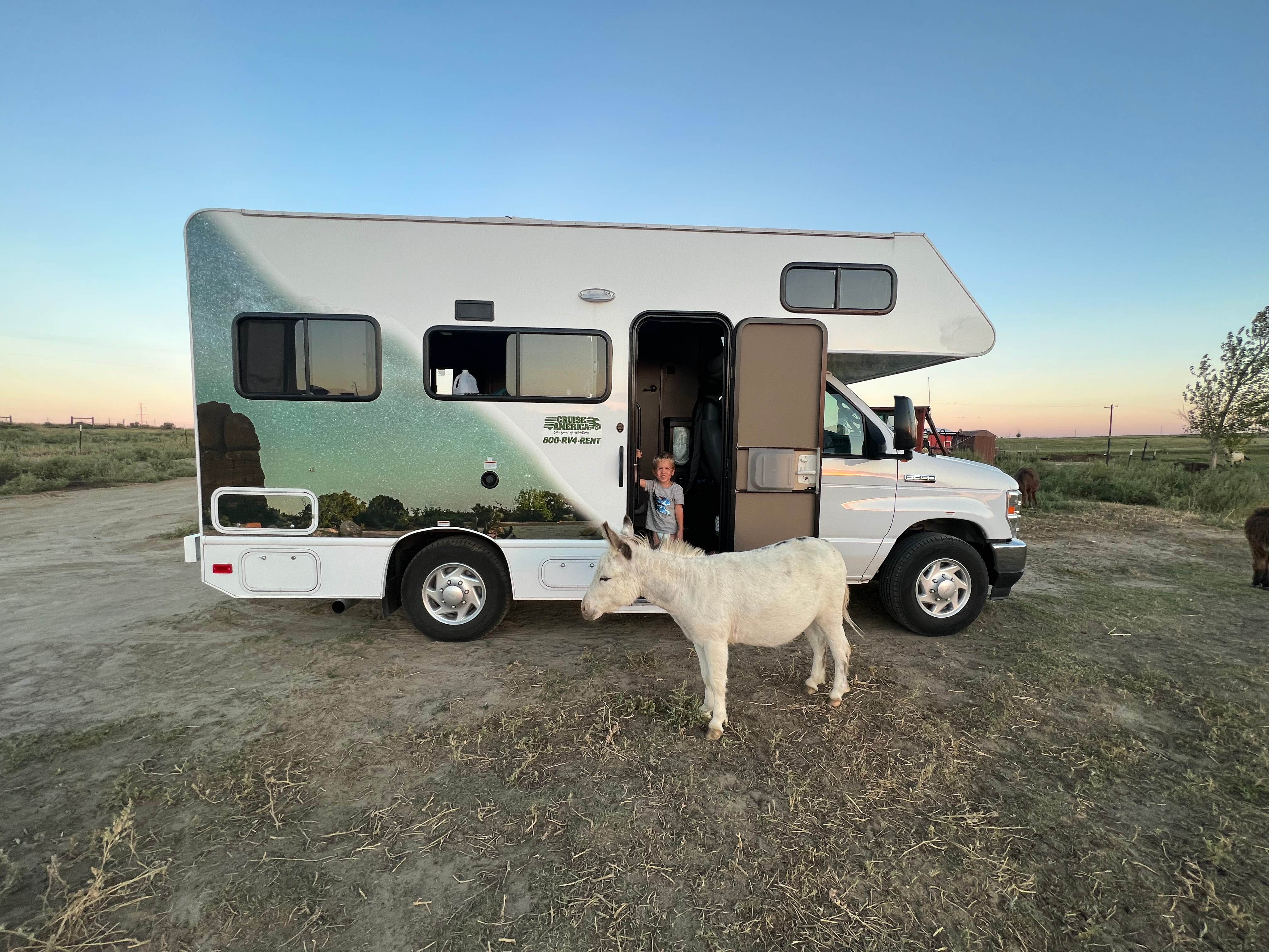 Thomas M.'s photo of camping with pets at Cloud Peak Llama and Alpaca Ranch near Evansville, WY