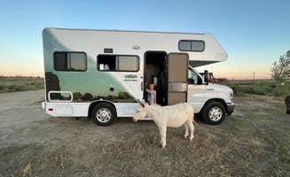 Thomas M.'s photo of camping with pets at Cloud Peak Llama and Alpaca Ranch near Evansville, WY