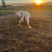 Review photo of Cloud Peak Llama and Alpaca Ranch by Thomas M., September 6, 2023