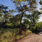 Review photo of BLM Dispersed N Kolob Terrace Road by Jenny&Tobias P., September 6, 2023