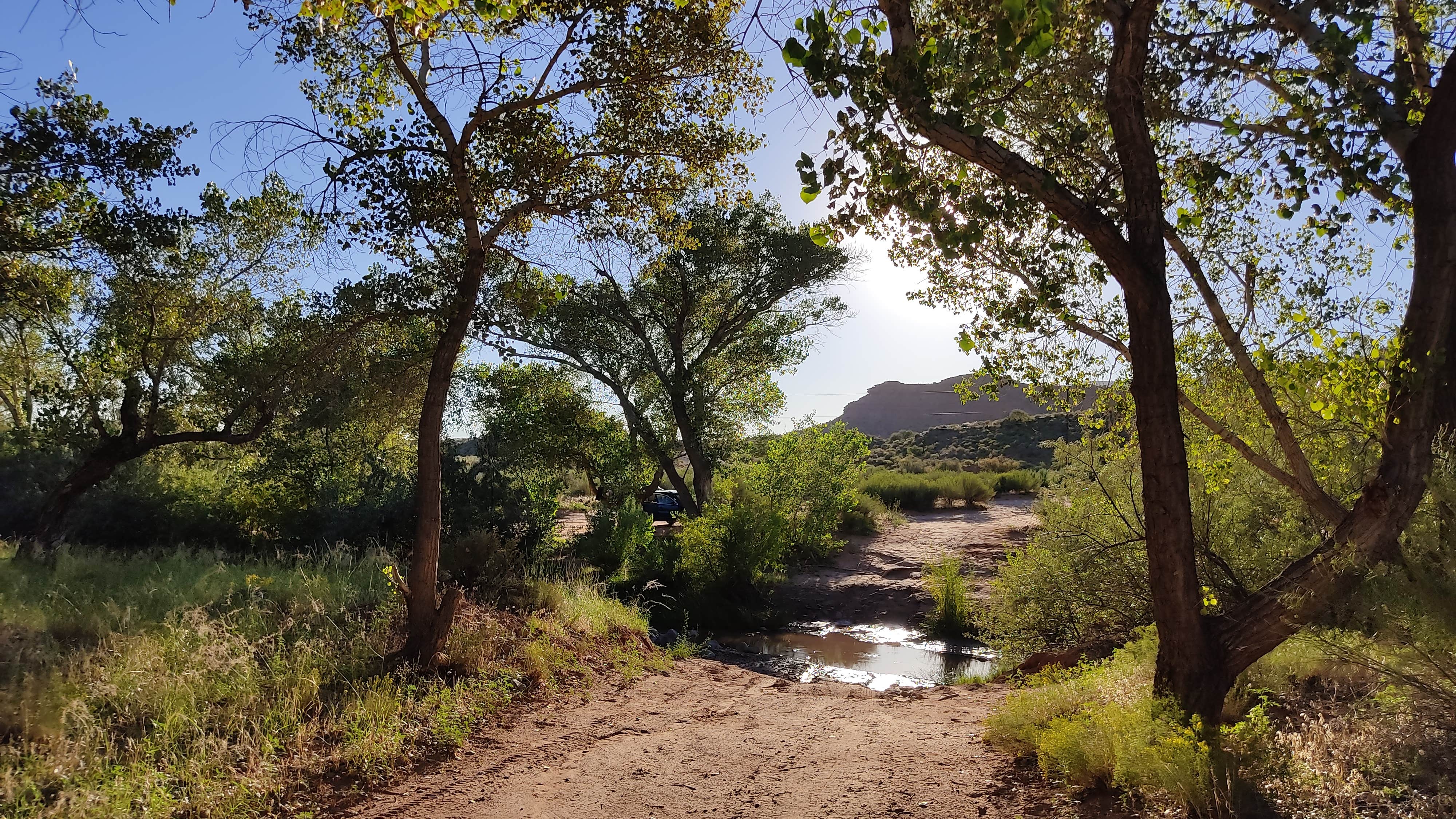 Camper submitted image from BLM Dispersed N Kolob Terrace Road - 2