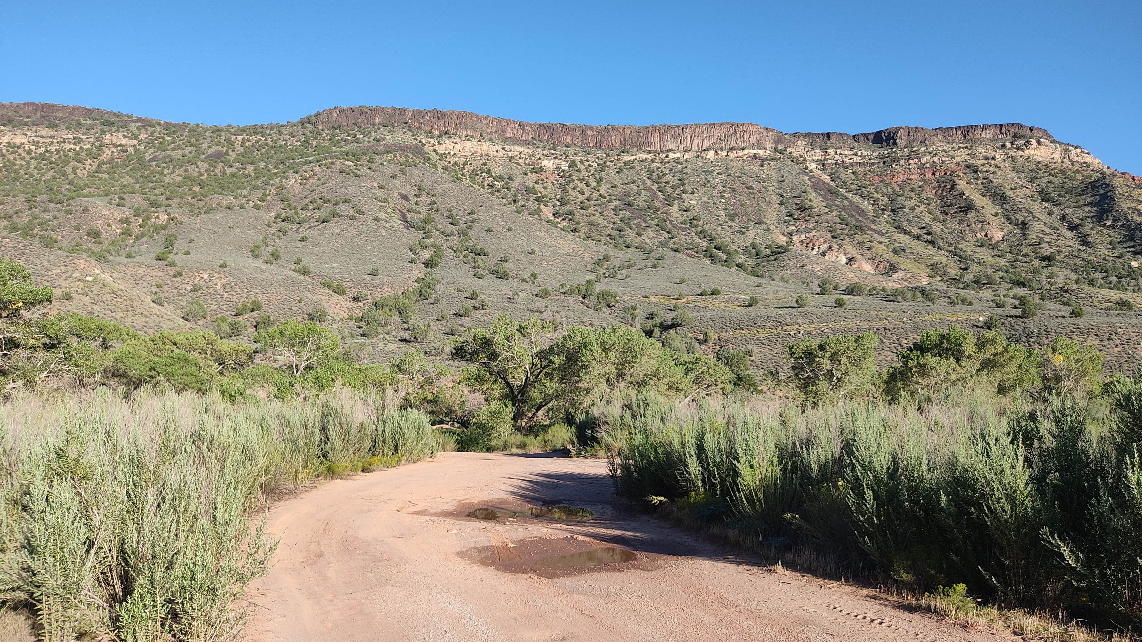 Camper submitted image from BLM Dispersed N Kolob Terrace Road - 3