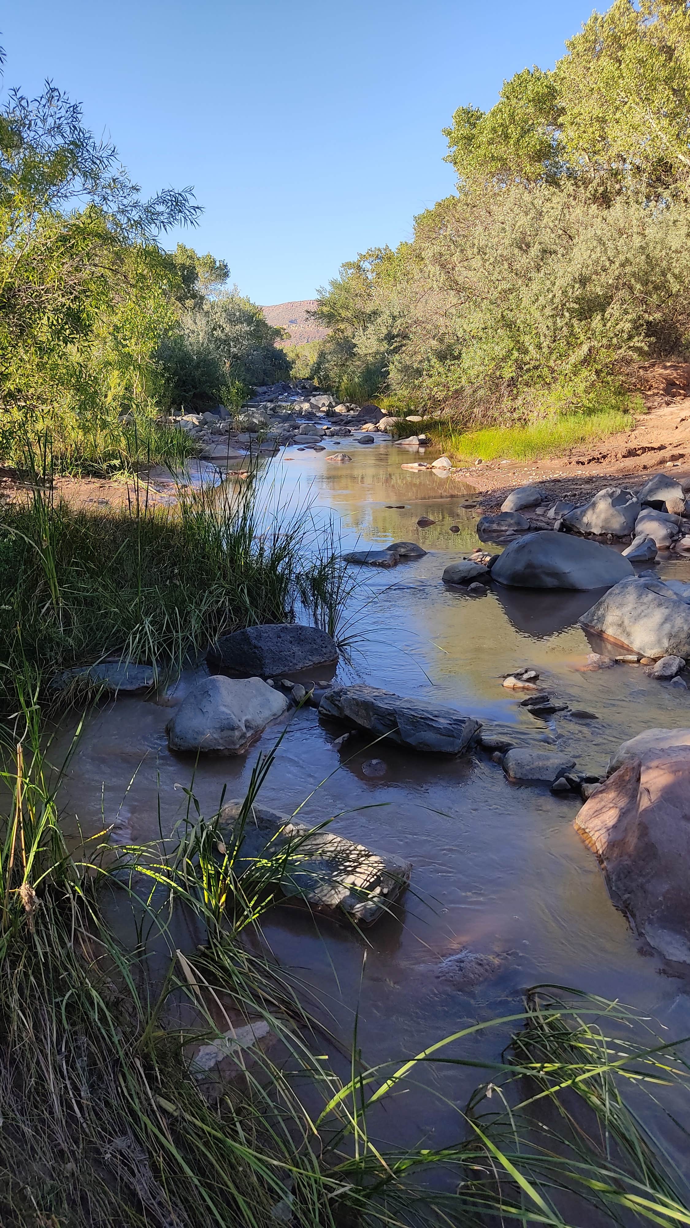 Camper submitted image from BLM Dispersed N Kolob Terrace Road - 5