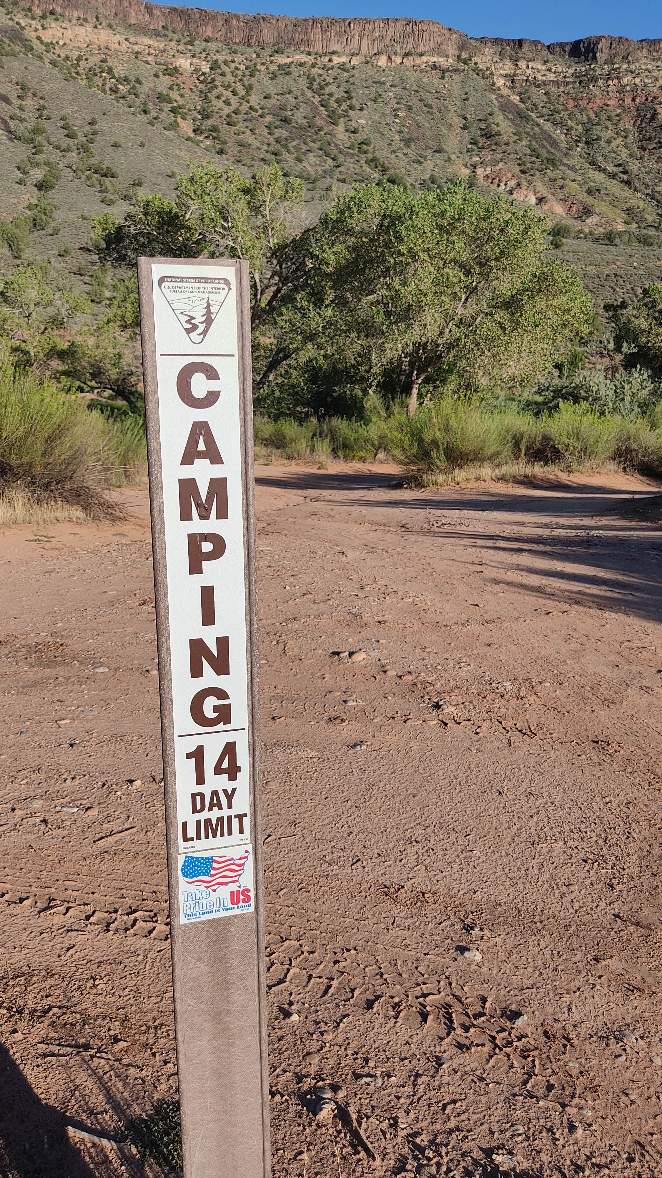 Camper submitted image from BLM Dispersed N Kolob Terrace Road - 4