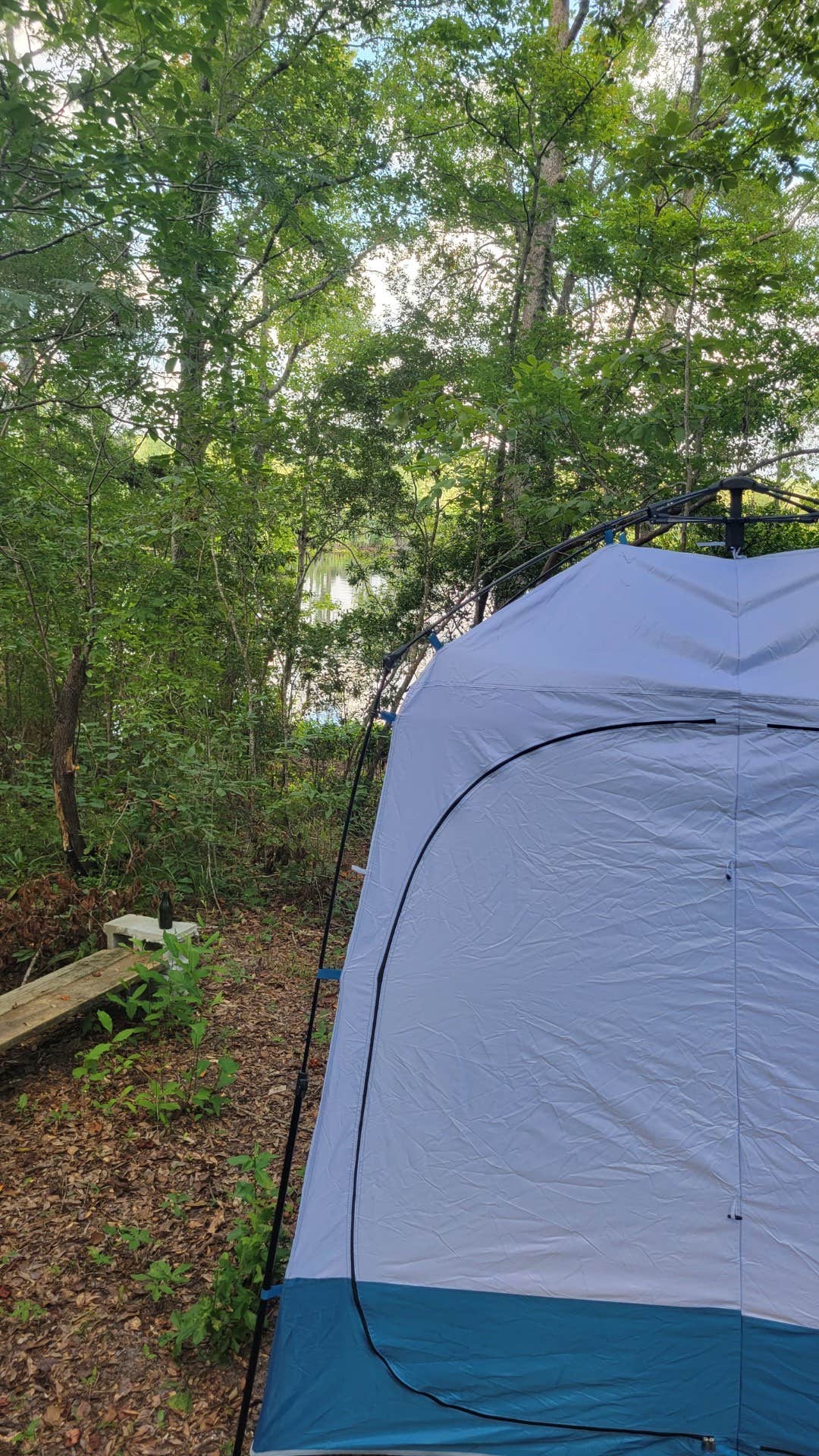 Levy Riceland Farm's photo at Mr. Levy's Riceland Farm near Jamestown, SC