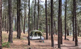 Name's photo at Middle Mountain near Bayfield, CO