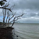 Review photo of Flamingo Campground — Everglades National Park by Thalia P., September 6, 2023