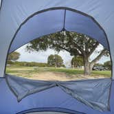 Review photo of Flamingo Campground — Everglades National Park by Thalia P., September 6, 2023