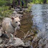 Review photo of Upper Little Truckee by Rachel M., September 6, 2023