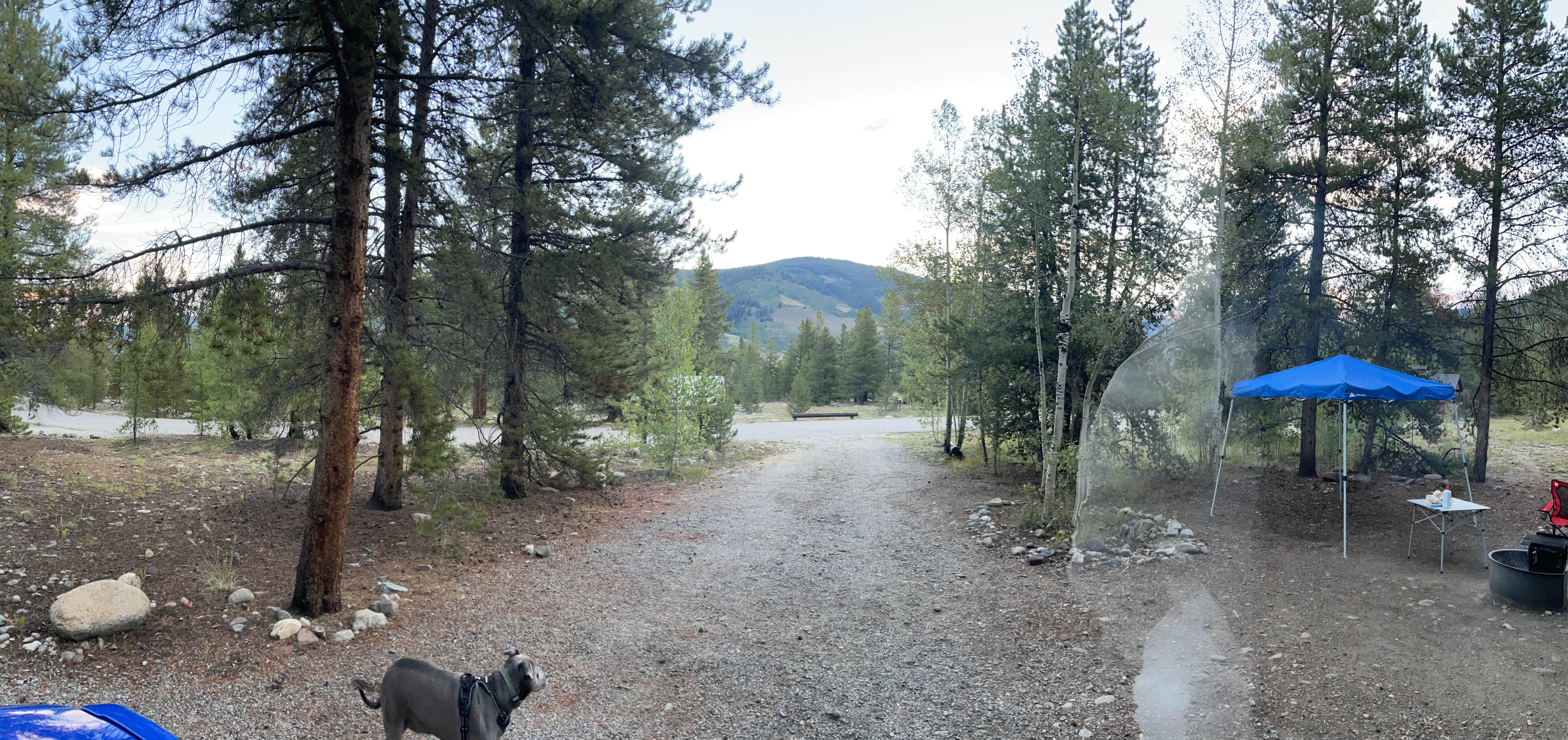 Bryce M.'s photo of camping with pets at Camp Hale Memorial near White River National Forest