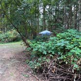 Review photo of Camano Island State Park Campground by Sarah S., September 6, 2023