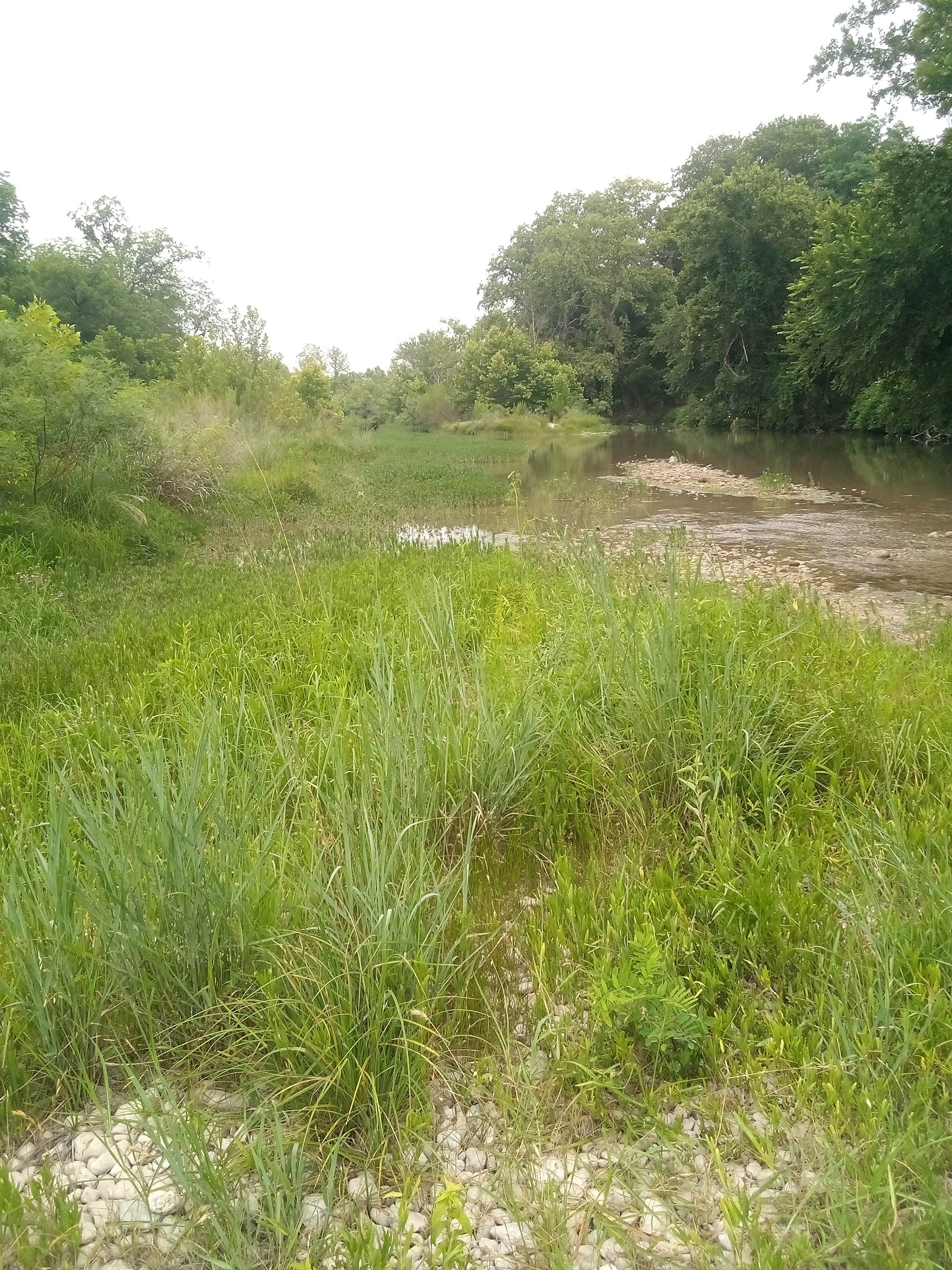 Camper-submitted photo at TEMPORARILY CLOSED - Bonita Campground ECLIPSE BOOKING OPEN near Johnson City, TX