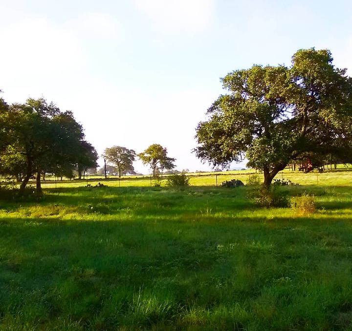 Camper-submitted photo at TEMPORARILY CLOSED - Bonita Campground ECLIPSE BOOKING OPEN near Johnson City, TX