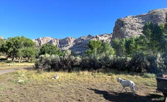 Justin B.'s photo of camping with pets at Green River Campground — Dinosaur National Monument near Dinosaur National Monument